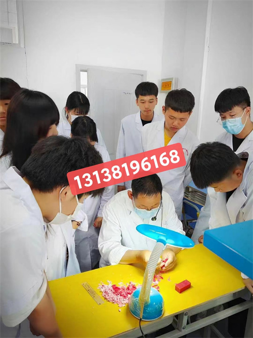 石家莊白求恩醫學院升學對口高考和單招有什么區別？