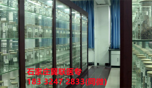 中專中藥專業能考哪些證書？