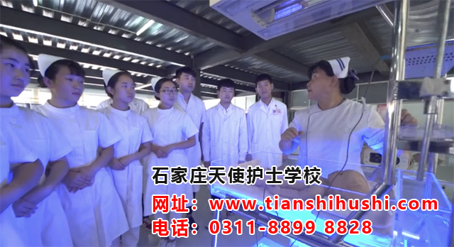 2026年石家莊天使護士學校報名錄取條件