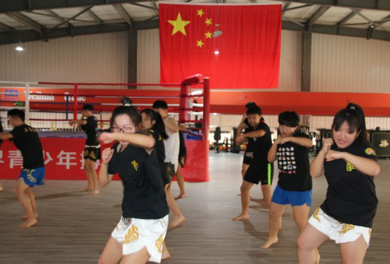 石家莊開設體育專業、武術專業的學校