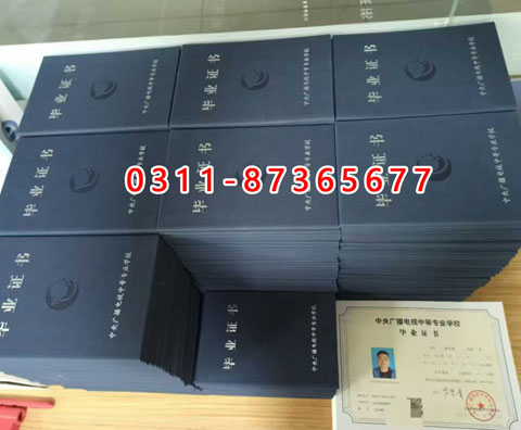 學(xué)信網(wǎng)上都能查詢什么學(xué)歷呢?