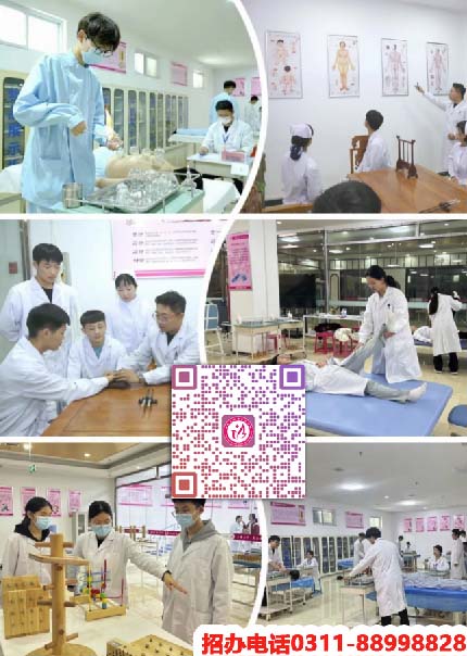 石家莊天使護士學校2026年秋季招生專業有哪些